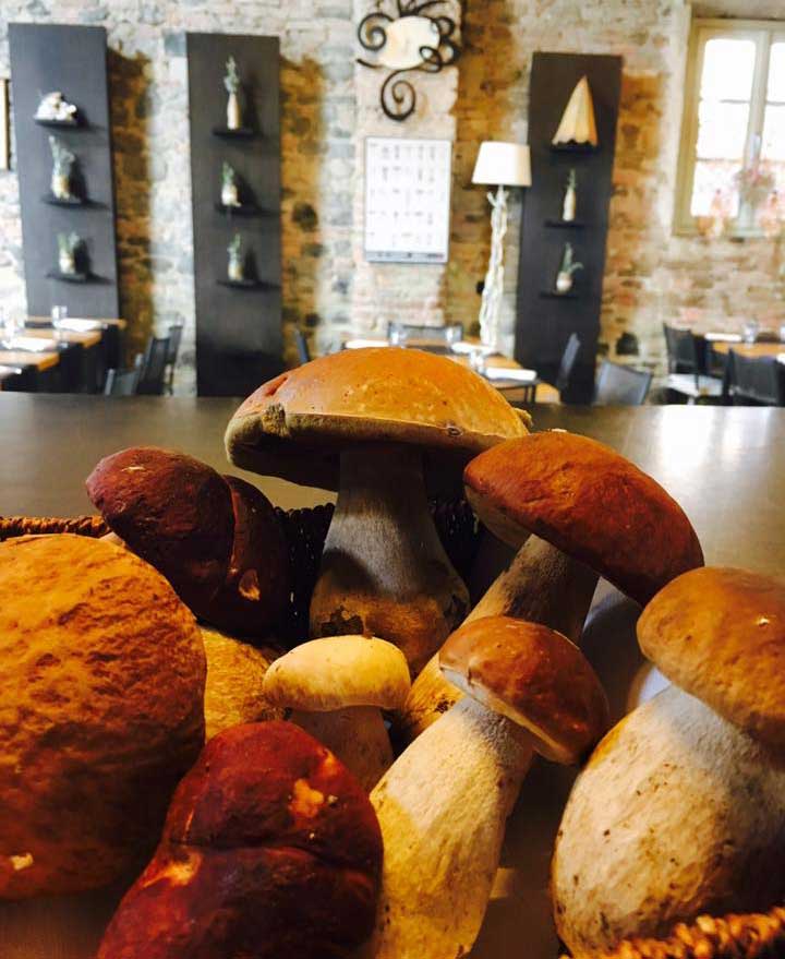 funghi_corte_giarola